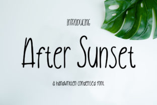 After Sunset: A Designer’s Honest Review