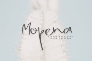 Mopena Review: A Designer’s Take on Script Amp’s Latest Release