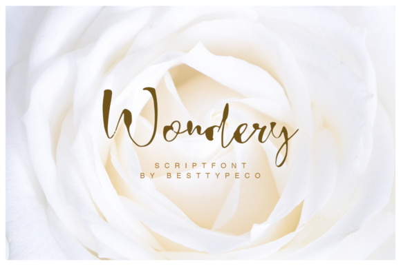 Wondery: A Designer’s Honest Review for Real Projects