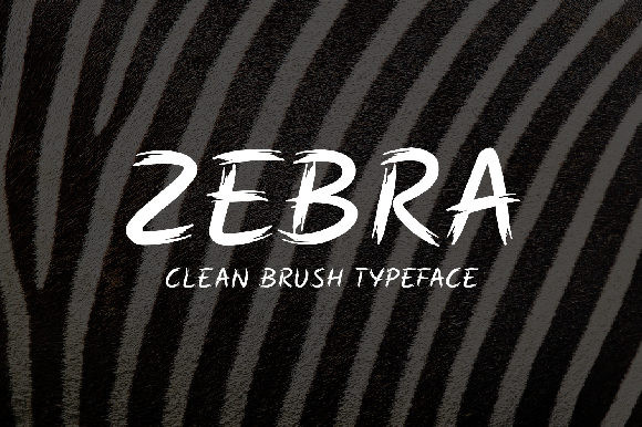 Zebra Typeface: A Fresh Script for Modern Editorial Design